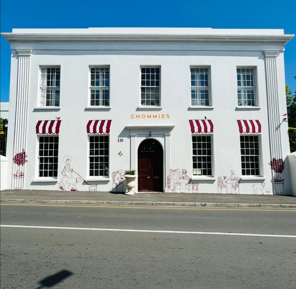 The House of Chommies — House of Chommies, 110 Hatfield Street, Gardens, Cape Town