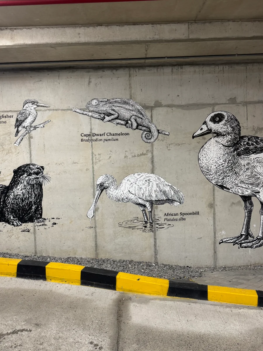 Riverlands — hand-painted mural by Cape Town Mural Arts, Observatory, Cape Town